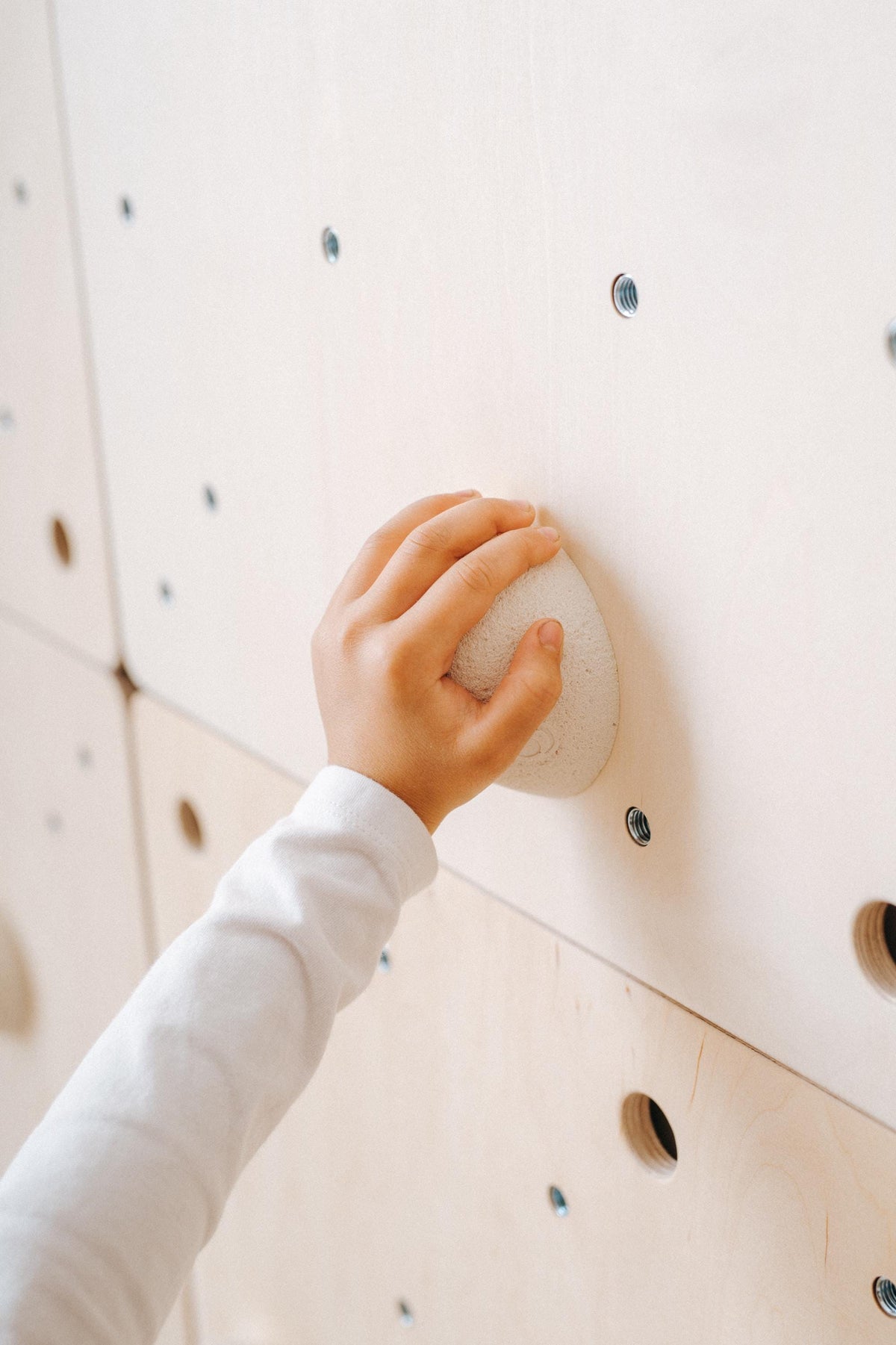 Climbing hold and T-nut mounting points detail