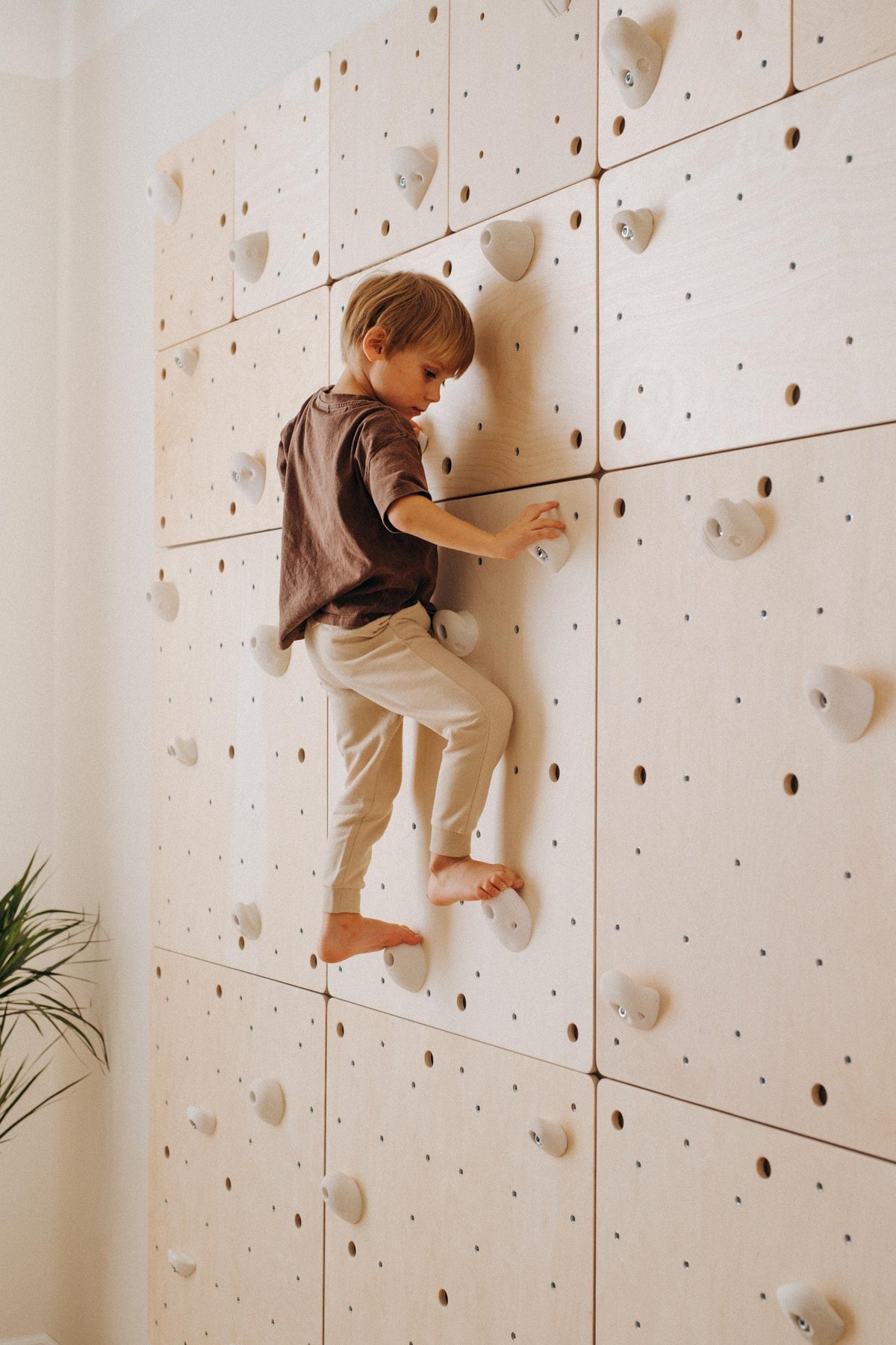 Square birch plywood climbing panels with white holds