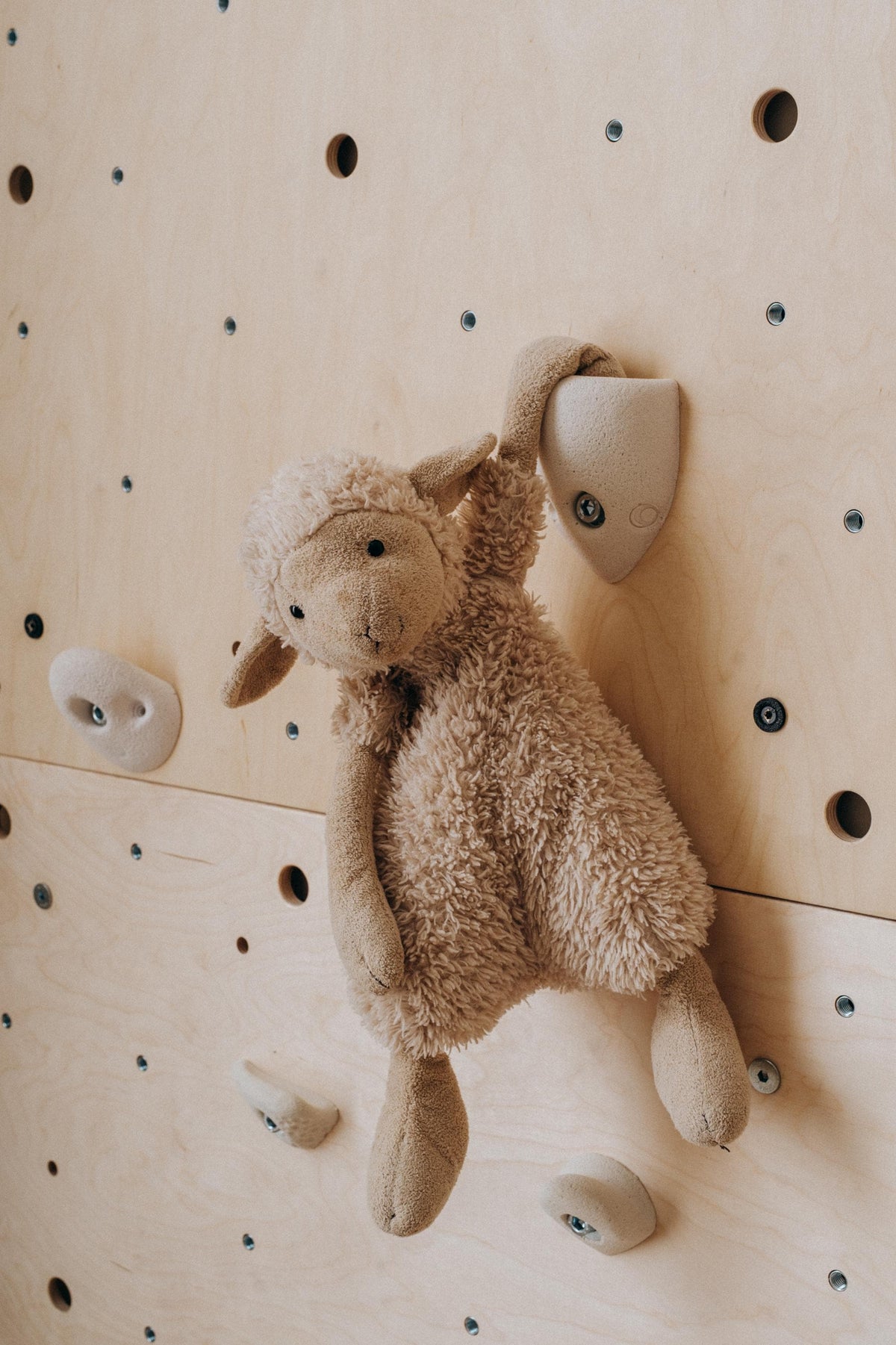 Plush toy hanging from a hold on a Climbsy panel
