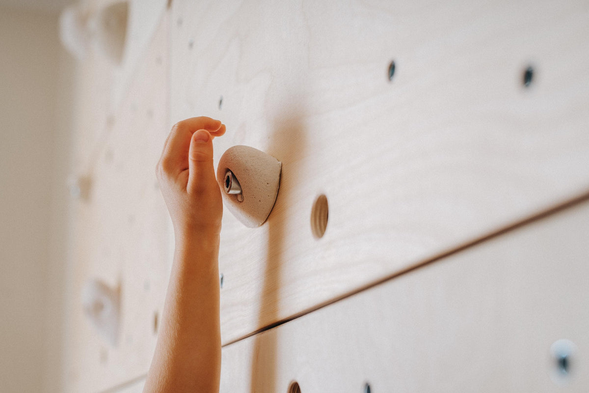 Close-up of climbing holds bolted to a birch plywood panel