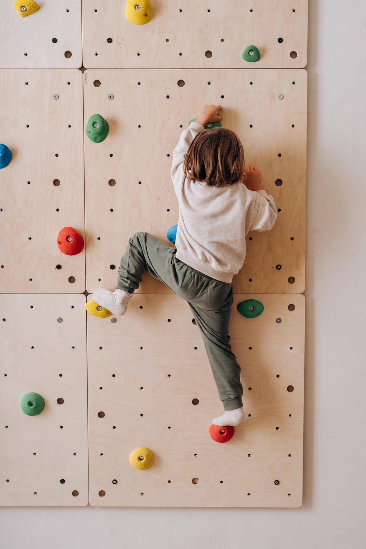 Colourful climbing holds mounted on a wooden climbing wall